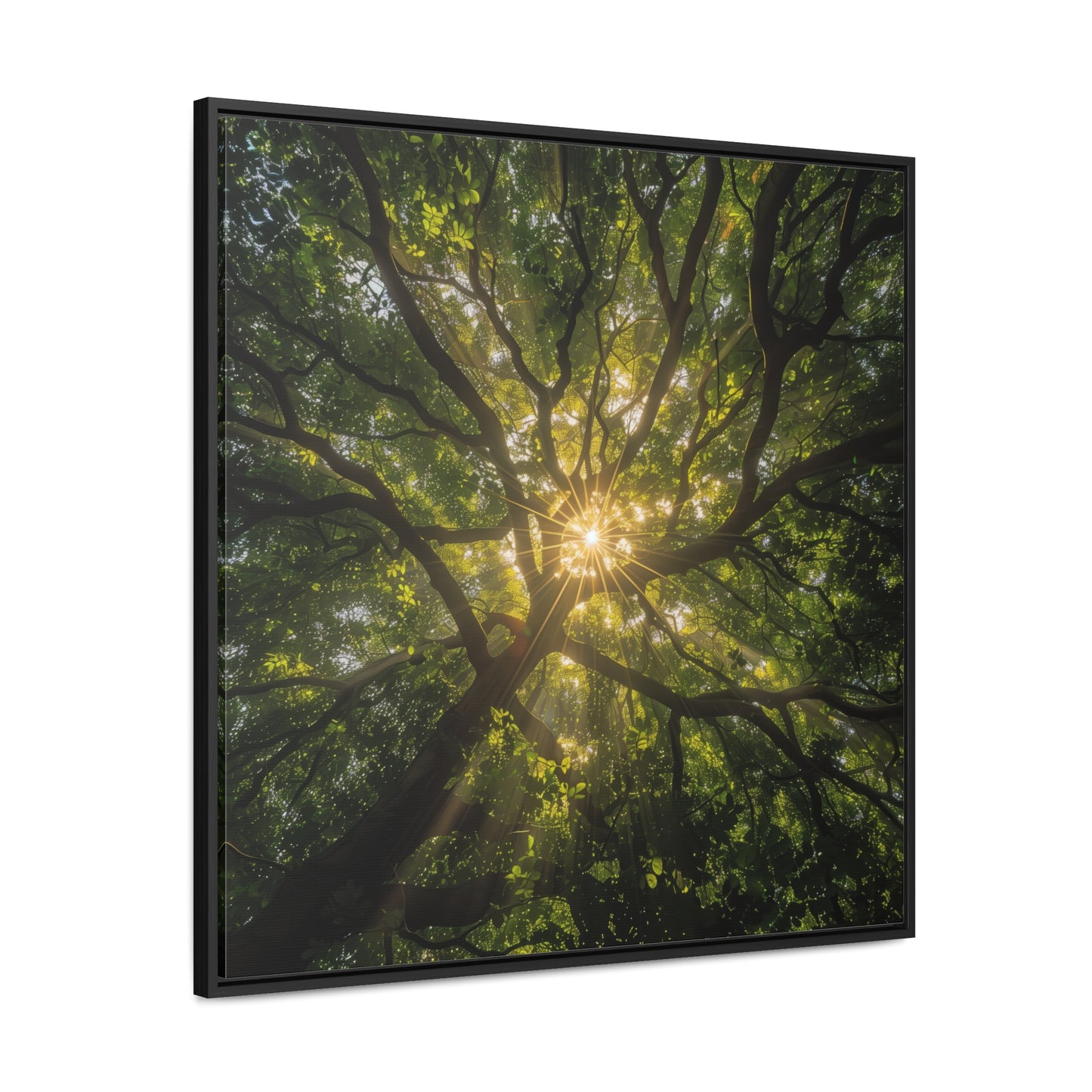 Sunlit Canopy - Framed Gallery Canvas Wrap