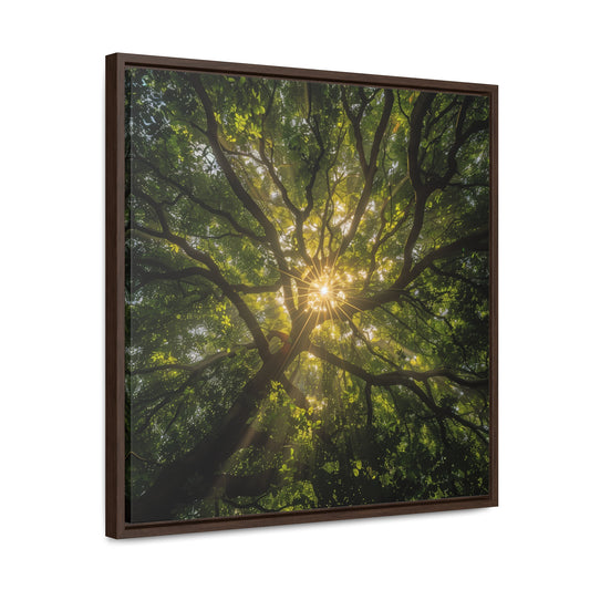 Sunlit Canopy - Framed Gallery Canvas Wrap