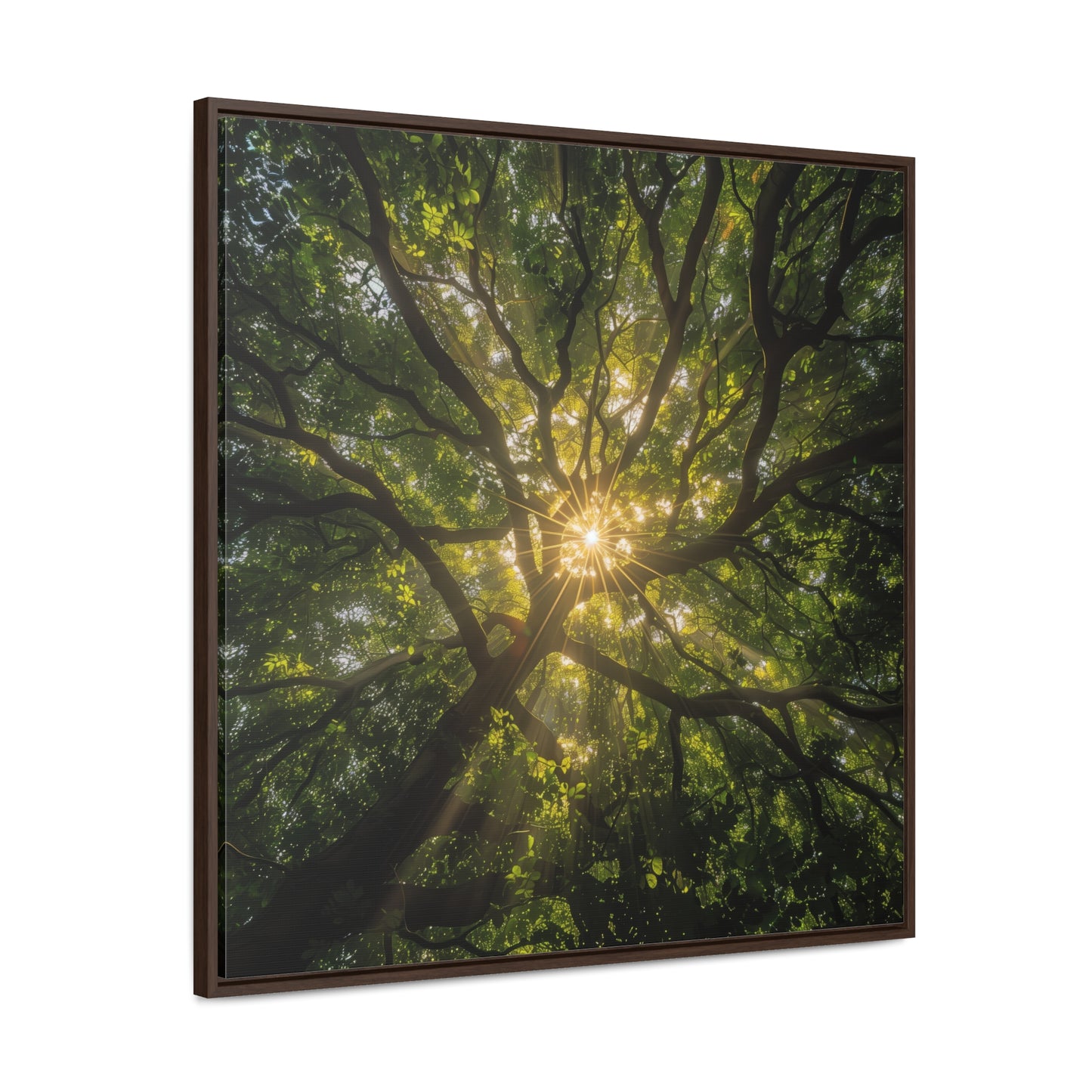 Sunlit Canopy - Framed Gallery Canvas Wrap