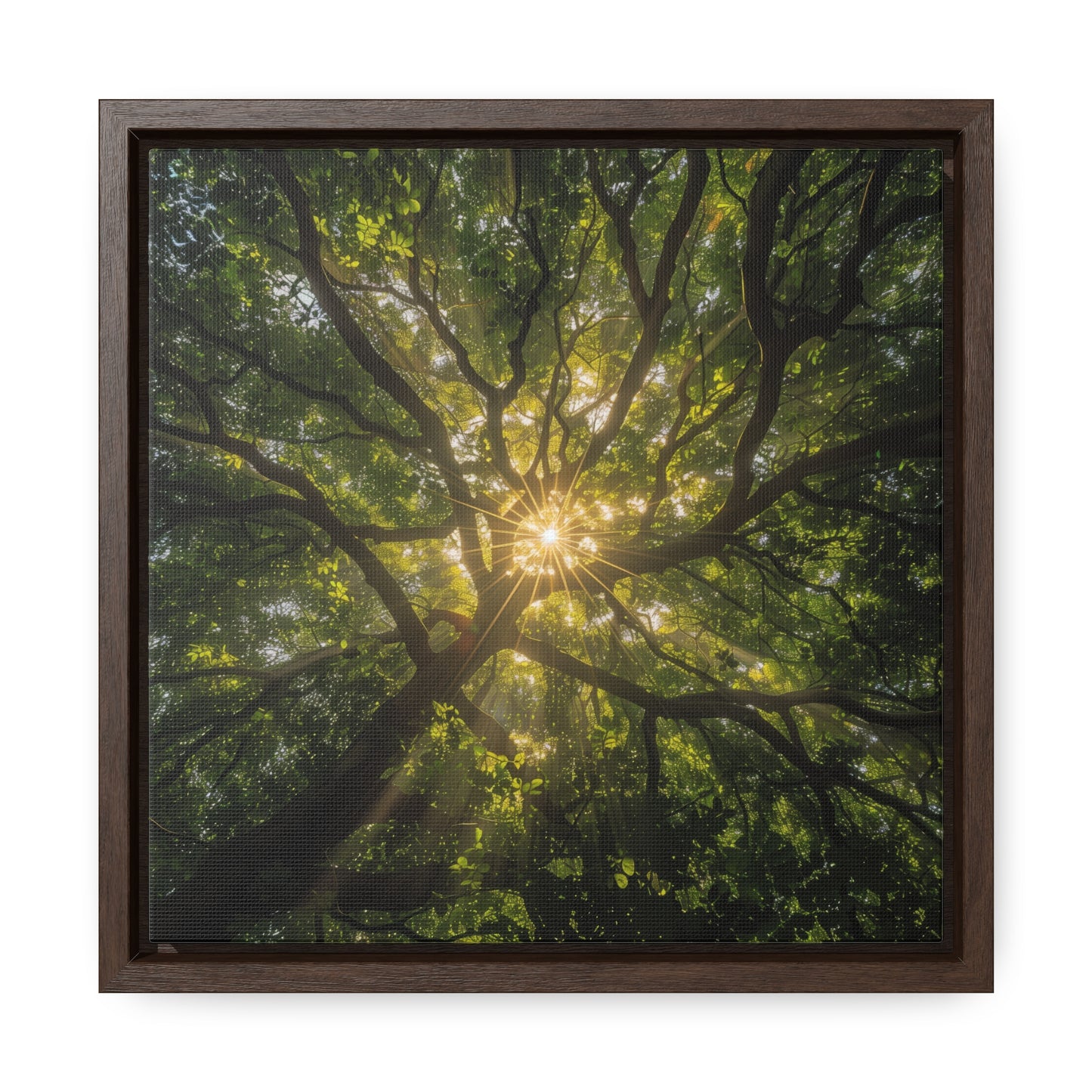 Sunlit Canopy - Framed Gallery Canvas Wrap