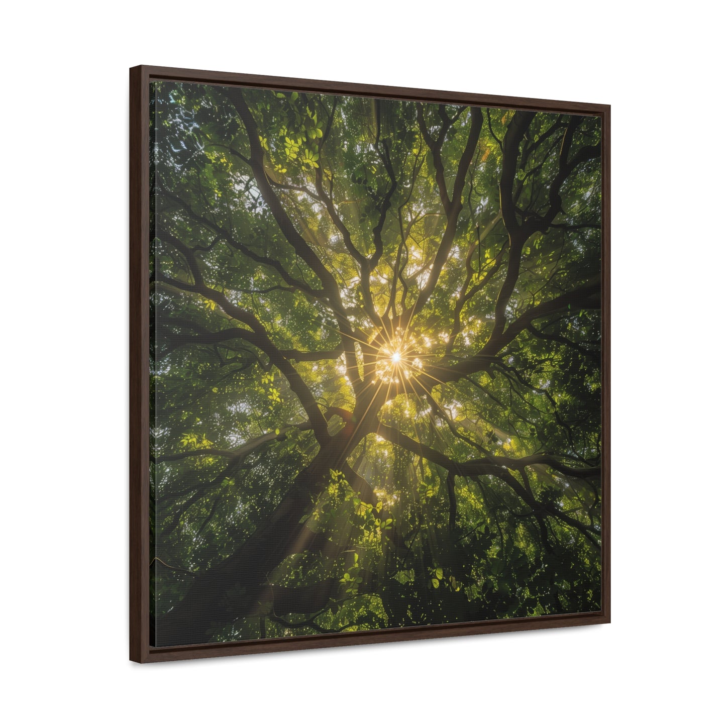 Sunlit Canopy - Framed Gallery Canvas Wrap