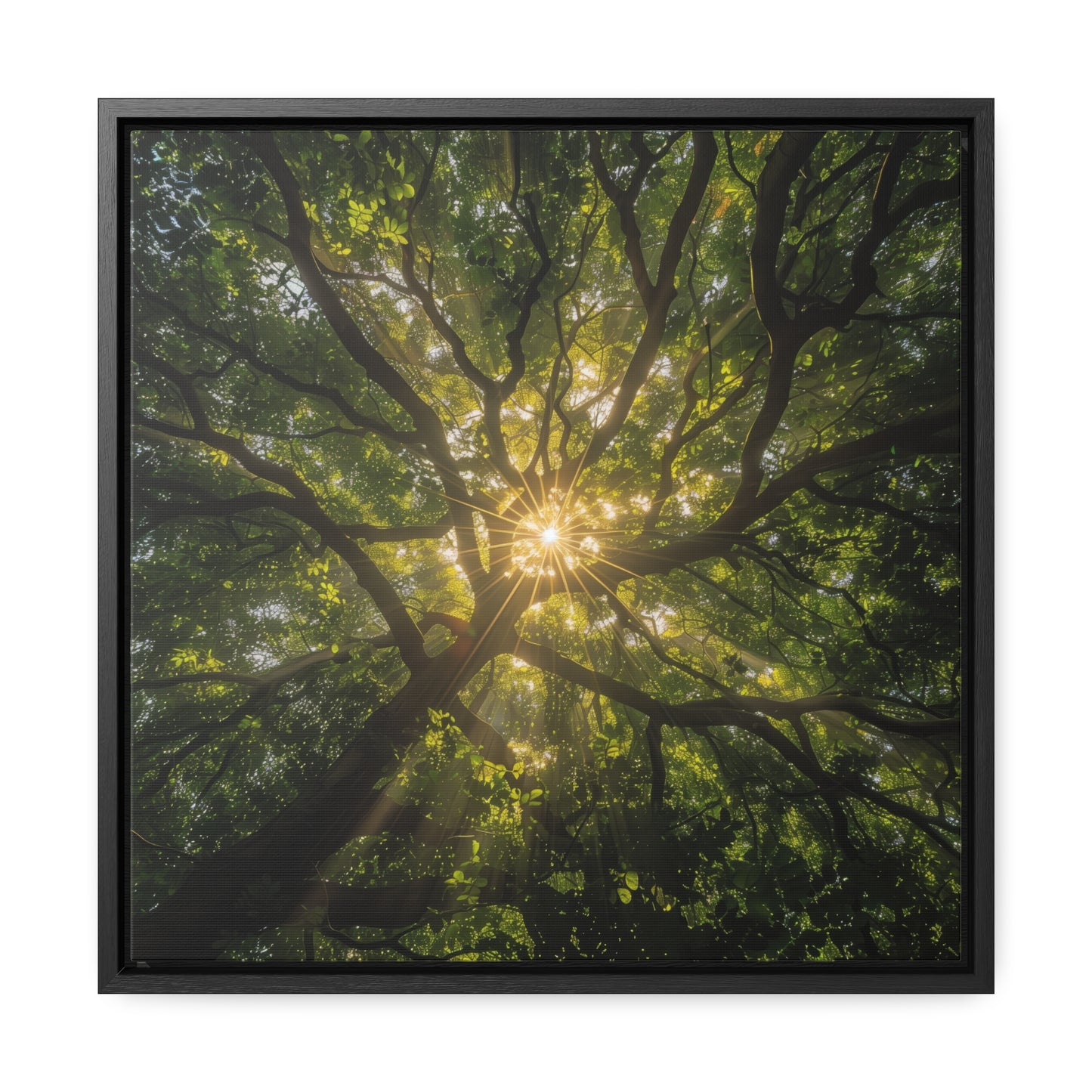 Sunlit Canopy - Framed Gallery Canvas Wrap