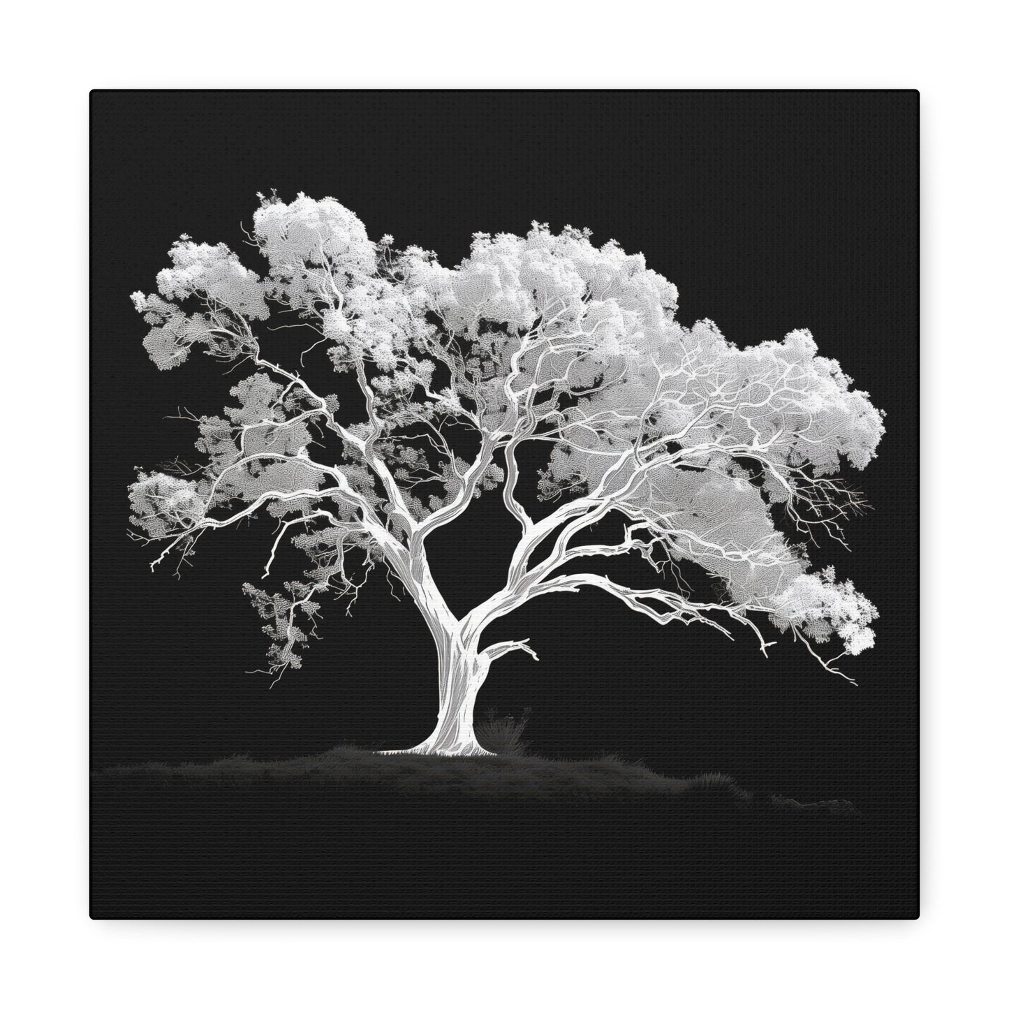 White Oak Tree Gallery Canvas Wrap