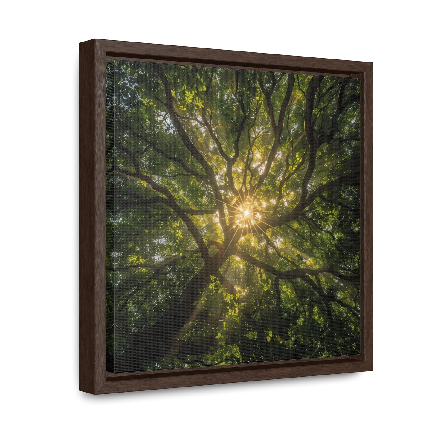 Sunlit Canopy - Framed Gallery Canvas Wrap