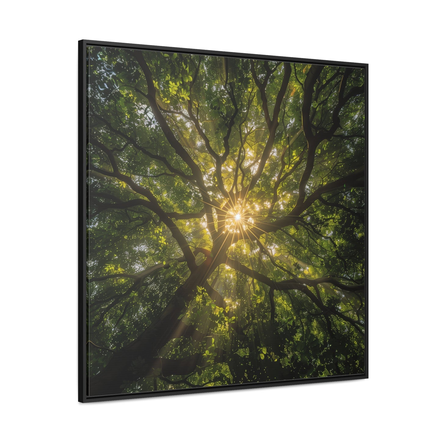 Sunlit Canopy - Framed Gallery Canvas Wrap