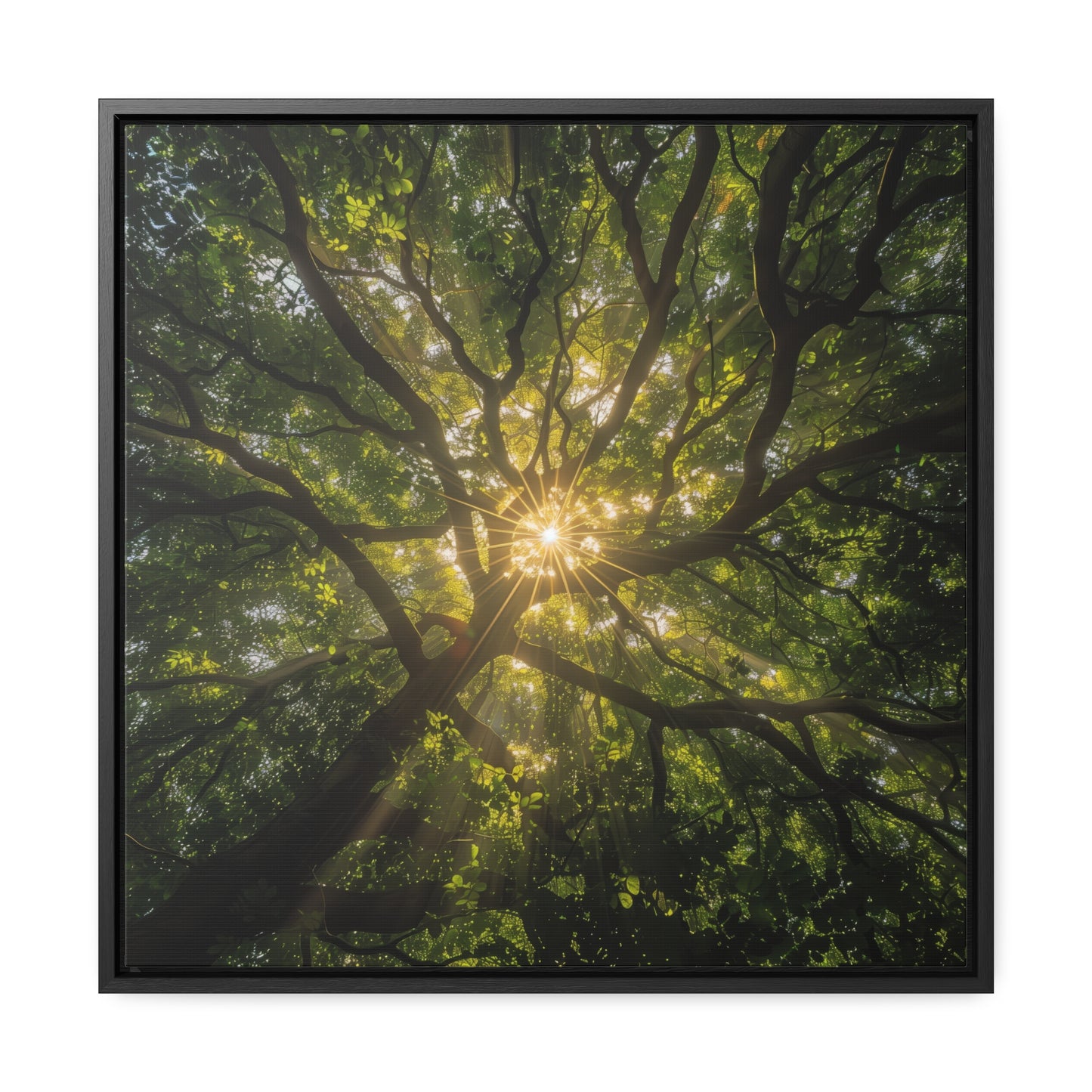 Sunlit Canopy - Framed Gallery Canvas Wrap